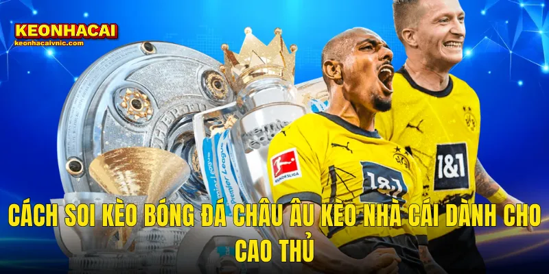 Chinh Phục Cách Soi Kèo Bóng Đá Châu Âu Đỉnh Cao Cùng Kèo Nhà Cái 3 Cách Soi Kèo Bóng Đá Châu Âu Kèo Nhà Cái Dành Cho Cao Thủ