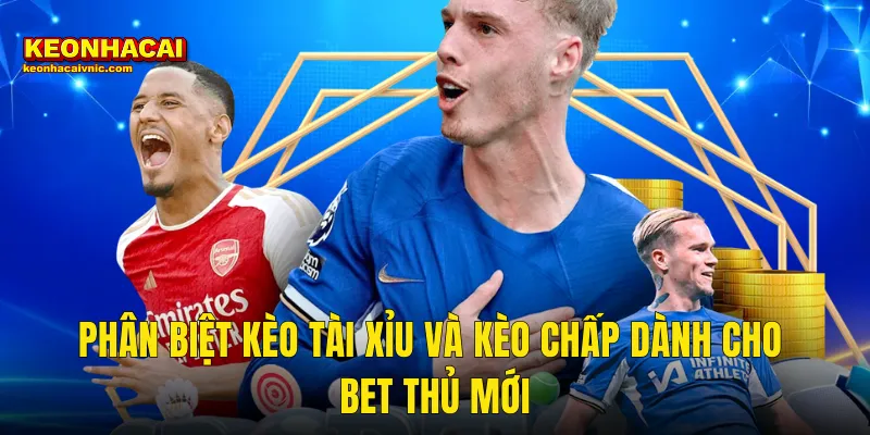 Phân Biệt Kèo Tài Xỉu Và Kèo Chấp Dành Cho Bet Thủ Mới